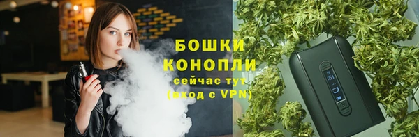 мяу мяу мука Вязьма