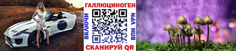 Псилоцибиновые грибы Cubensis  это наркотические препараты  Завитинск 